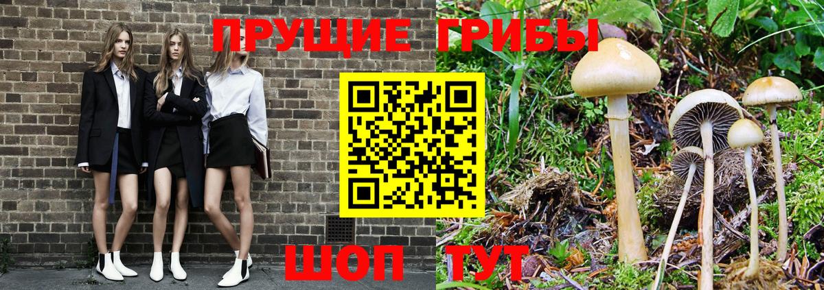 Семёнов  Галлюциногенные грибы Cubensis  Вход с VPN  Галлюциногенные грибы MAGIC MUSHROOMS 
